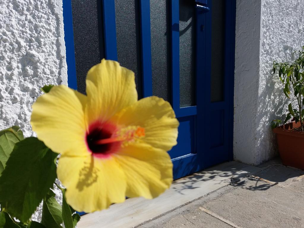Constantinos Apartments Lassi  Luaran gambar