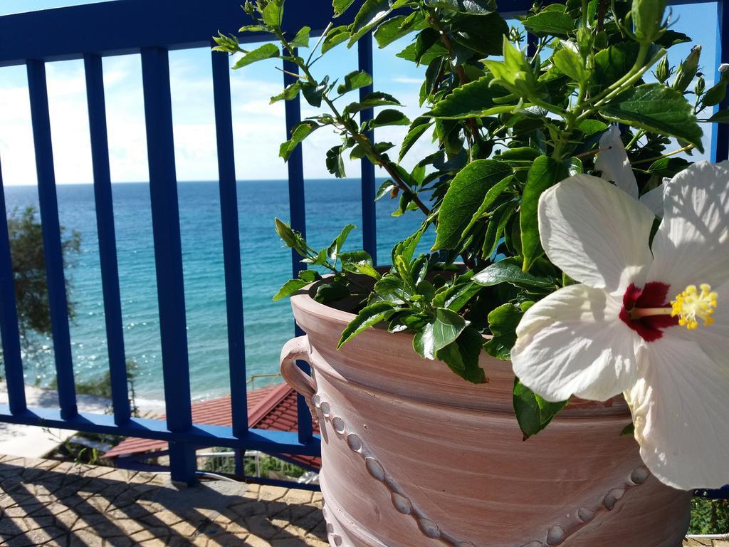 Constantinos Apartments Lassi  Luaran gambar