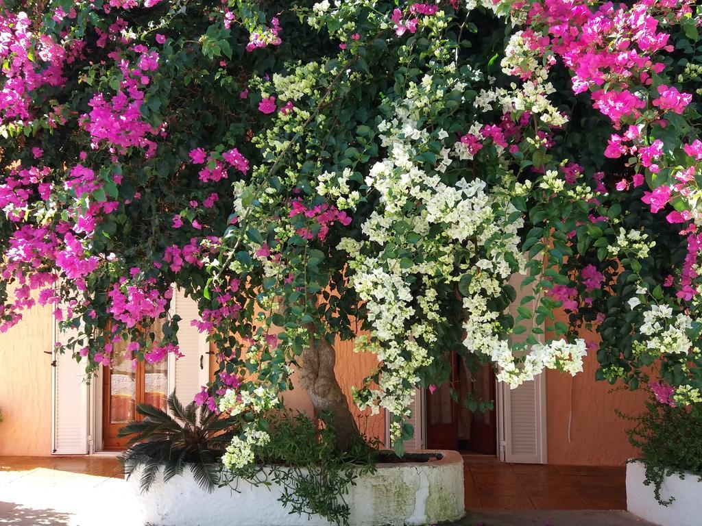 Constantinos Apartments Lassi  Luaran gambar