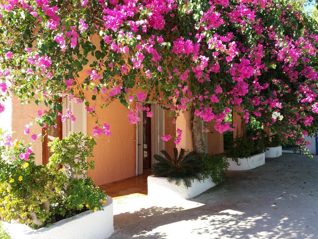 Constantinos Apartments Lassi  Luaran gambar