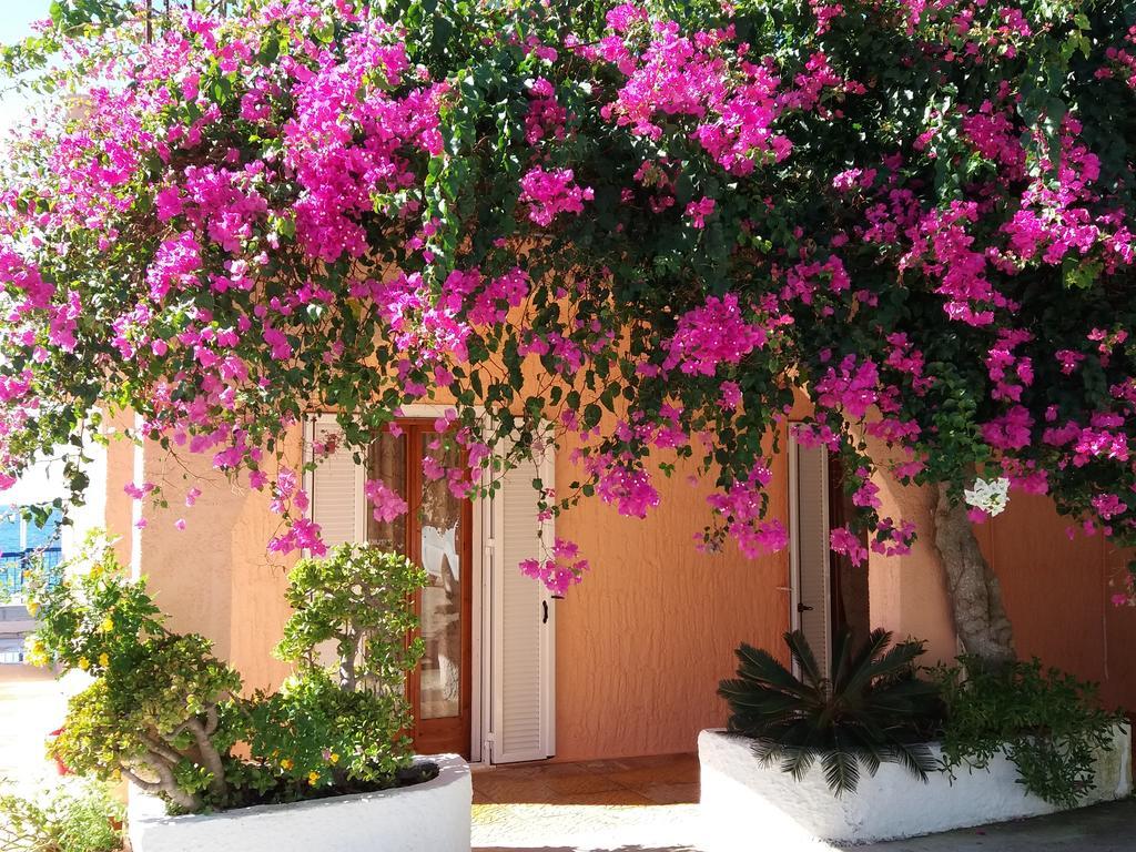 Constantinos Apartments Lassi  Luaran gambar